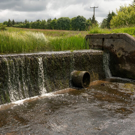 Anglian Water