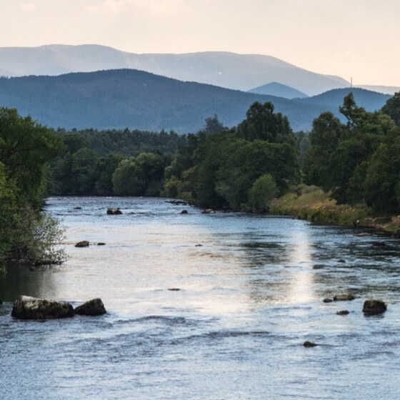 What’s next for river health, beyond SOAF and SODRP